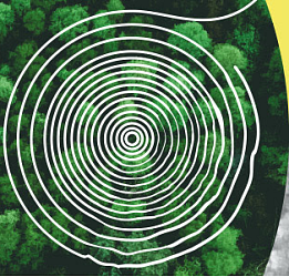 Вебинар от PAP-FOR: «Кайдзен в ЦБП России». 25/06/20 в 13:00 (МСК)