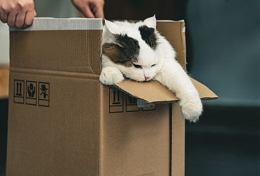 Что означают знаки на упаковках? Расшифровываем символы на коробках